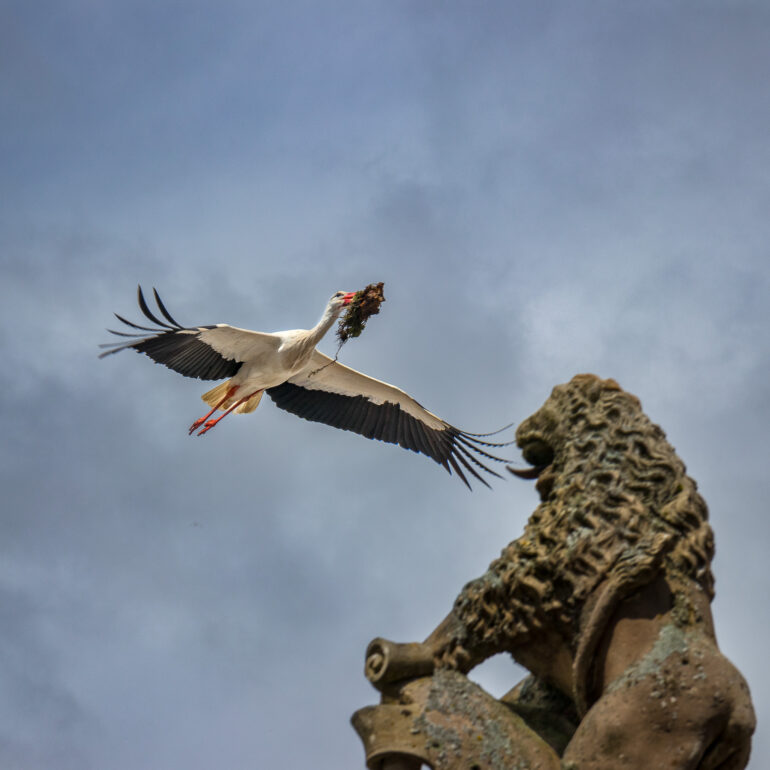 alsace alsace alsace alsace alsace alsace alsace alsace alsace alsace alsace alsace alsace alsace alsace alsace alsace alsace alsace alsace alsace alsace alsace alsace alsace alsace alsace alsace alsace alsace alsace alsace alsace alsace alsace alsace alsace alsace alsace alsace alsace alsace alsace alsace alsace alsace alsace alsace alsace alsace alsace alsace alsace alsace alsace alsace alsace alsace alsace alsace alsace alsace alsace alsace alsace alsace alsace alsace alsace alsace alsace alsace alsace alsace alsace alsace alsace alsace alsace alsace alsace alsace alsace alsace alsace alsace munster munster munster munster munster munster munster munster munster munster munster munster munster munster munster munster munster munster munster munster munster munster munster munster munster munster munster munster munster munster munster munster munster munster munster munster munster munster munster munster munster munster munster munster munster munster munster munster munster munster munster munster munster munster munster munster munster munster munster munster munster munster munster munster munster munster munster munster munster munster munster munster munster munster munster munster munster munster munster munster munster munster munster munster munster munster munster cigogne cigogne cigogne cigogne cigogne cigogne cigogne cigogne cigogne cigogne cigogne cigogne cigogne cigogne cigogne cigogne cigogne cigogne cigogne cigogne cigogne cigogne cigogne cigogne cigogne cigogne cigogne cigogne cigogne cigogne cigogne cigogne cigogne cigogne cigogne cigogne cigogne cigogne cigogne cigogne cigogne cigogne cigogne cigogne cigogne cigogne cigogne cigogne cigogne cigogne cigogne cigogne cigogne cigogne cigogne cigogne cigogne cigogne cigogne cigogne cigogne cigogne cigogne cigogne cigogne cigogne cigogne cigogne cigogne cigogne cigogne