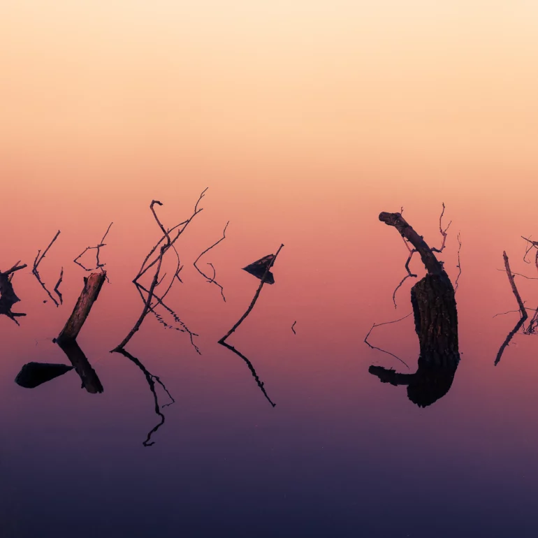 photographie d'un lac dans le brouillard en Alsace