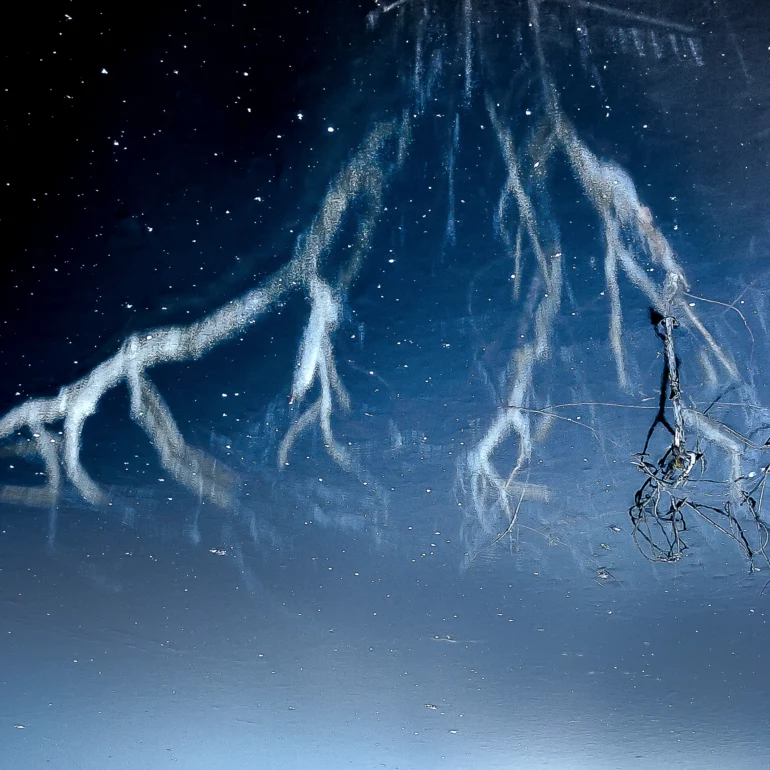 photographie poétique de la nature, un lac gelé en Alsace