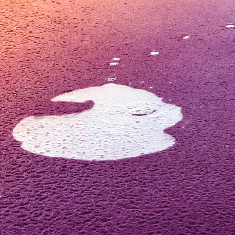 un lac gelé en Alsace, photo de sabine marbach