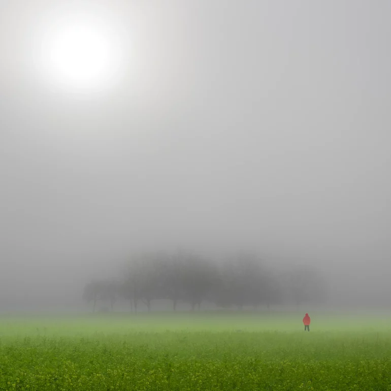 décoration intérieure de photo d'art en Alsace dans le Ried