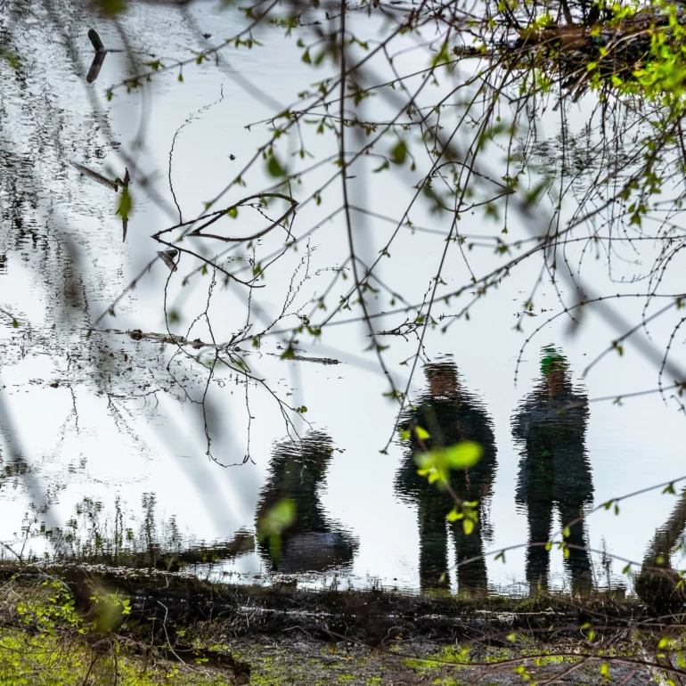 décoration d’intérieur de photo d' art , résurgence en Alsace