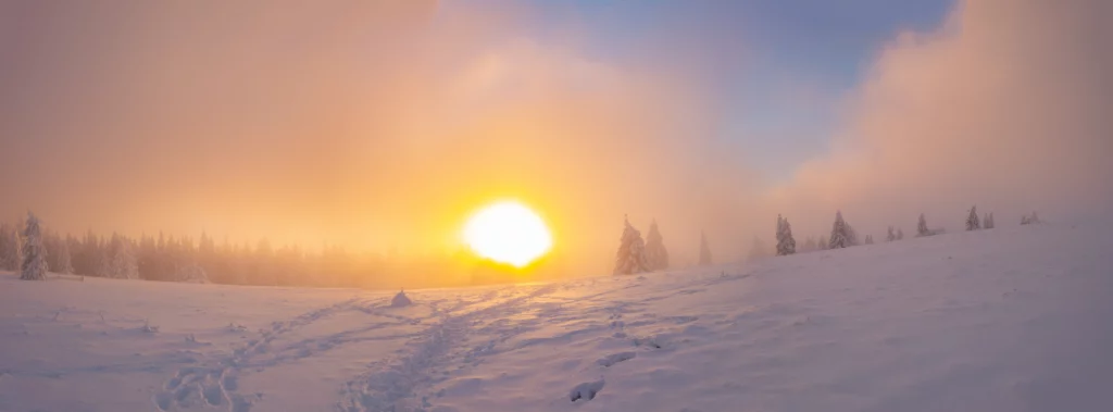 photo en Alsace sous la lumière hivernale du champ du feu