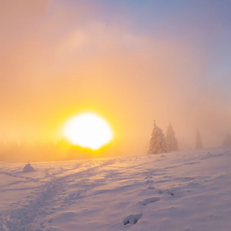photo en Alsace sous la lumière hivernale du champ du feu