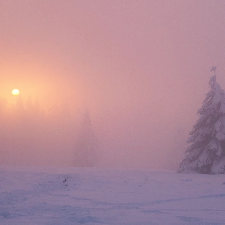 photo en Alsace sous une belle lumière sous la neige