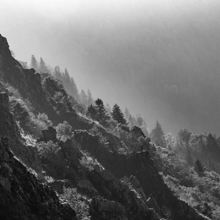 sabine Marbach-photographe artiste, phtographie en Alsace le Hohneck