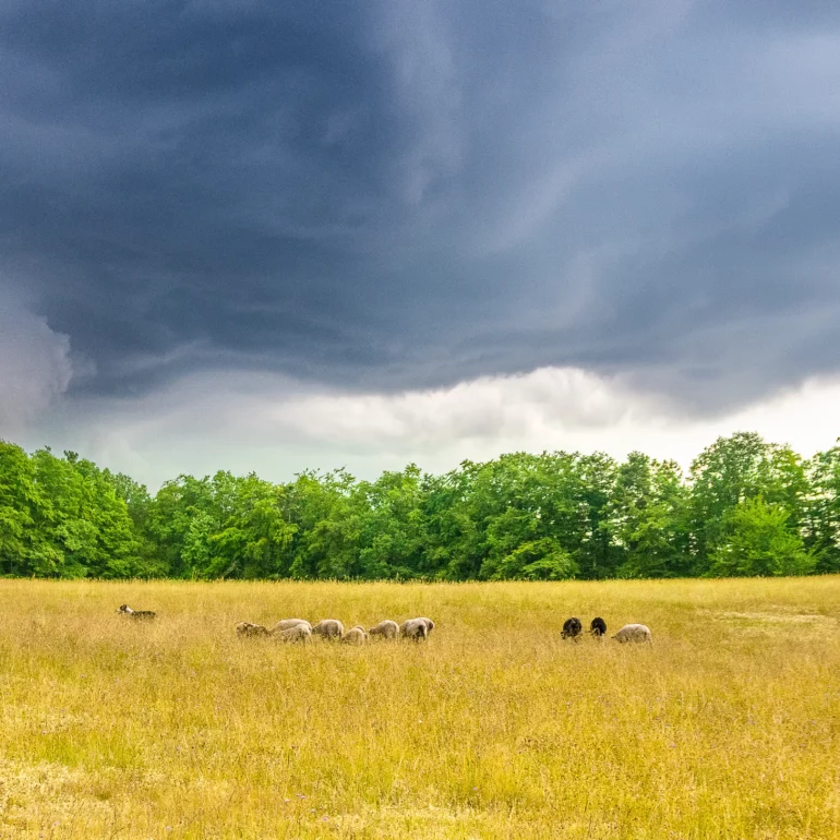 sabine Marbach, photographe, artiste photographie un orage au mont Saint-Odile