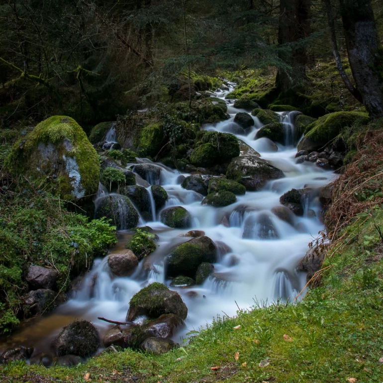 sabine marbach photographe artiste sensitive phtographie une cascade