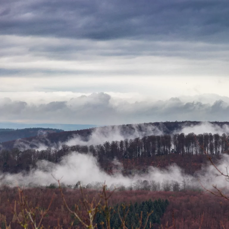 tirage d'art sur tableau en Alsace à Saverne à travers la brume
